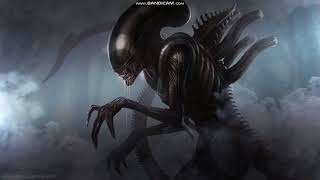 Ghost Wolf Killer In Black 4 Opening Tittle (2024)