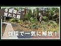 冬で荒れた庭を半日で激変！風が抜ける通り道づくり｜古民家庭づくり