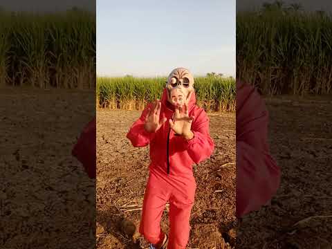 الزومبي المزدوج يحمل زوميى صغير بيدة