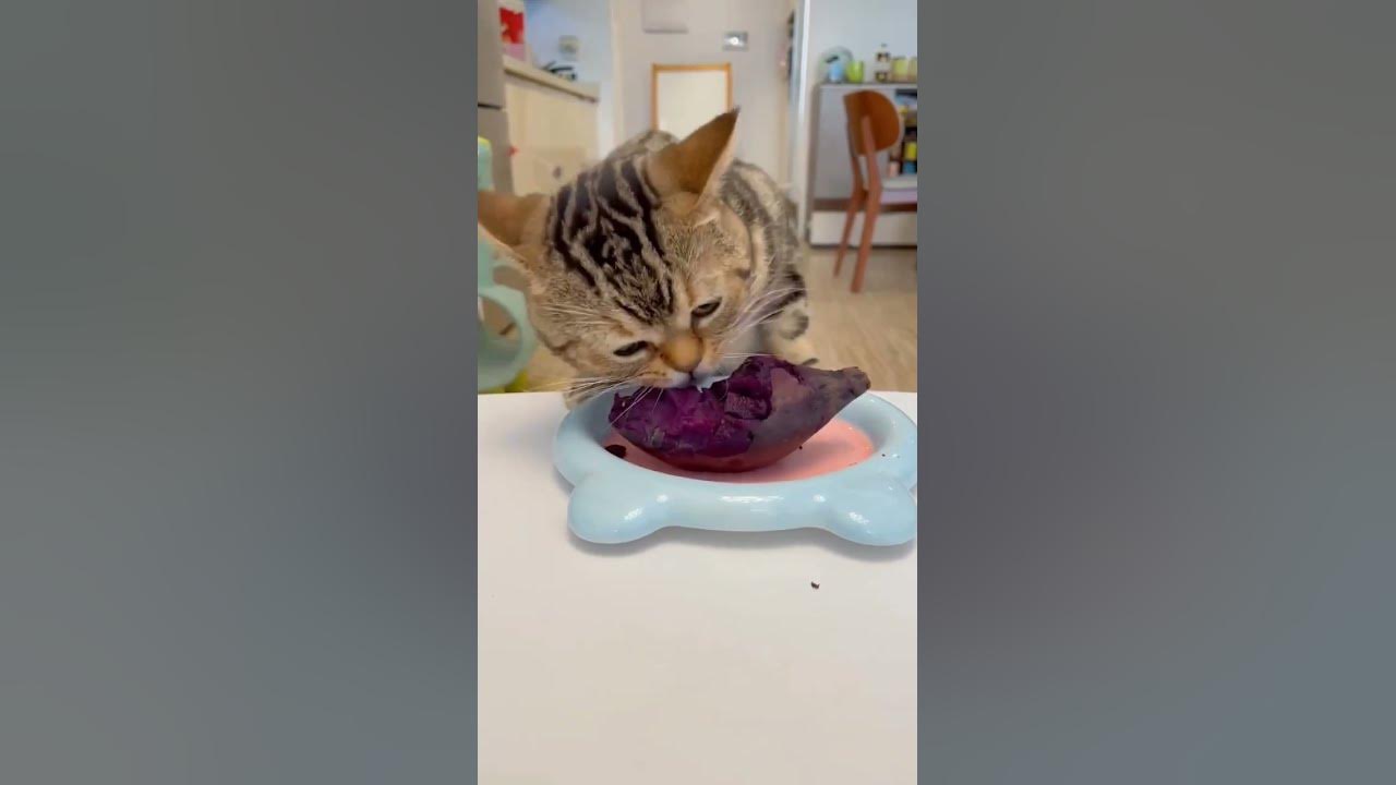 Does Eating Beets Cause Joint Pain