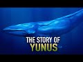 THE STORY OF YUNUS (AS)