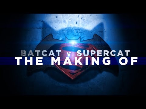 Batcat v Supercat BTS