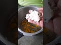 food for 6 month baby part 3