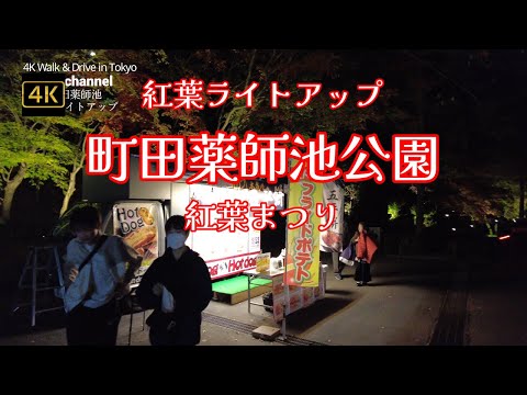 4K【町田薬師池公園~紅葉ライトアップ~紅葉まつり】【湖面に紅葉が映り込む「逆さ紅葉」】【四季彩の杜】【たいこ橋、雪つり】ぶらぶら散歩 東京都町田市薬師池