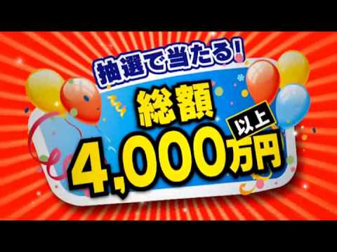 H24　宮崎市全市連合歳末大売出しCM.wmv