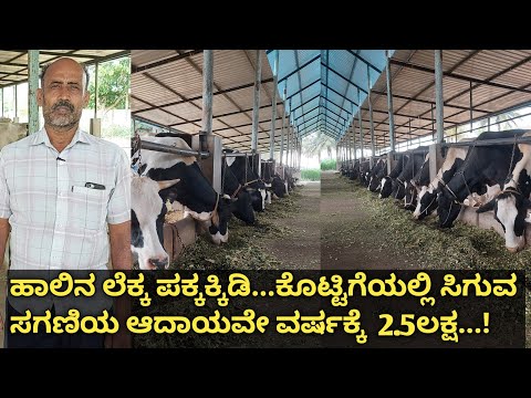 ಹೆಚ್ಚಿನ ಬಂಡವಾಳ ಹೂಡಿ ಹೈನುಗಾರಿಕೆ ಮಾಡುವುದು ಸೂಕ್ತವೇ... ಇಲ್ಲಾ ಕಡಿಮೆ ಬಂಡವಾಳದ ಹೈನುಗಾರಿಕೆ ಸೂಕ್ತವೇ...!