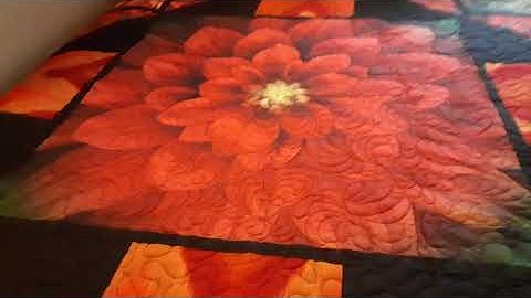 shout out mail call auction Ida Herring Twisted R racing