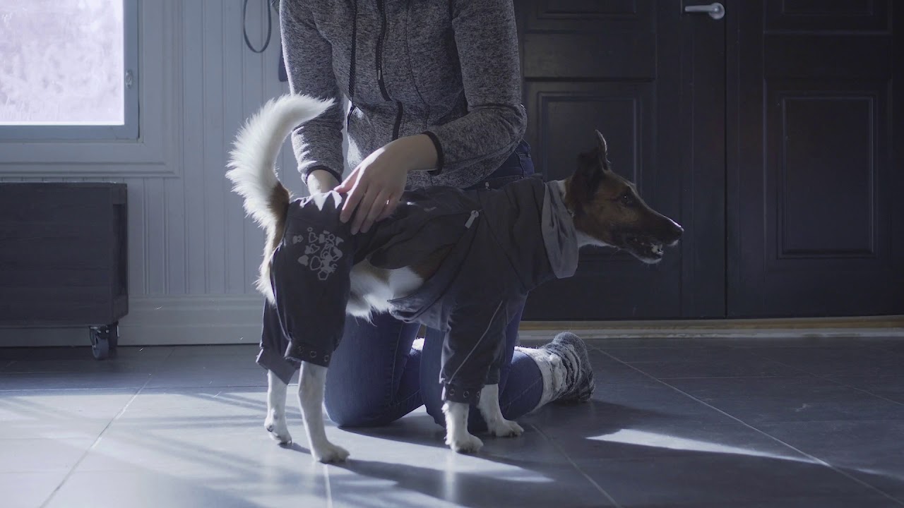 hurtta extreme overall dog snowsuit