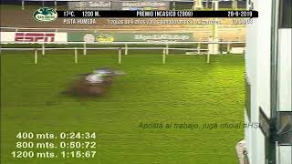 Jockey Club hipódromo en vivo