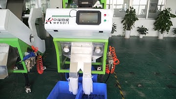 Wesort Roasted Coffee Bean Color Sorter In China