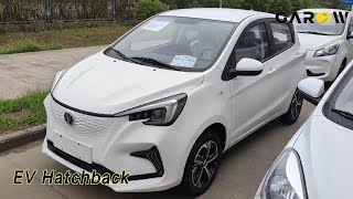 Pure Electric EV Hatchback 4 Seater 101km/h Fast Charging Small