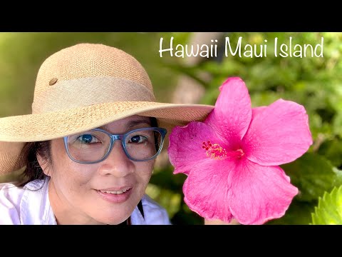 วีดีโอ: สายการบินไหนที่บินจากเกาะไปเกาะในฮาวาย?