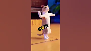ع طلب الحبايب الغوالي أمل الحلوة أمل Baby العراق الجزائر المغرب جوجو الاردن 