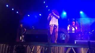 Waje's Performance at the 2014 Serengeti Fiesta Concert