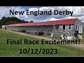 New england derby one loft pigeon race  exciting result