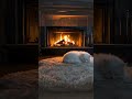 Winter Night Ambience🔥​🐈#fireplacesounds#asmr#relax #ambientmusic#refreshing#fireplace #cutecat#cute