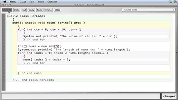 APCS for loop and arrays