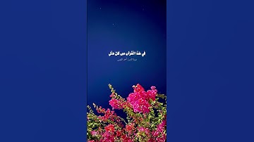 #تلاوة_خاشعة من#سورة_الزمر #القارئ #احمد_النفيس #القرآن_الكريم #اكسبلور #قران_كريم #حالات_واتس