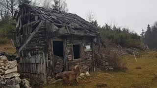 Cabane, catei, zapada Fundata Brasov