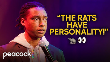 Why New York Is the Scariest Place to Live | Josh Johnson: Up Here Killing Myself