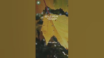 قل الحمد لله وسلام على عباده الذين اصطفى سورة النمل _الأية(59)القارئ //#ياسر_الدوسري#خدمة_حكم_ومواعظ