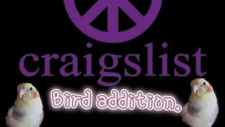 Looking a bird cage on craigslist