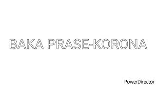 BakaPrase-KORONA(Lyrics)