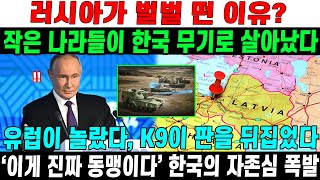 유럽이 놀랐다… 한국 무기가 만든 평화의 방패