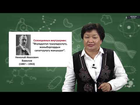 Биология - 10 класс - Селекция жана анын ыкмалары