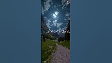 سورة الـكافرون - محمد الفقيه