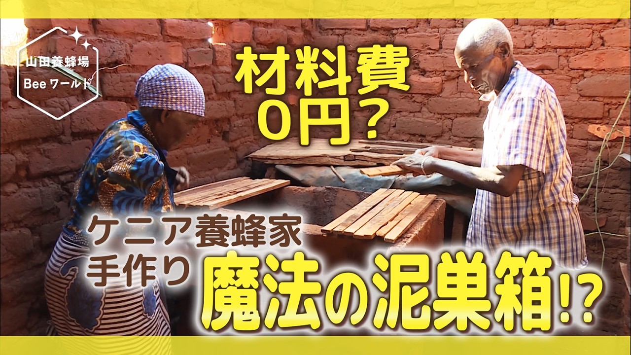 90歳の知恵！材料費0円がヤバイ？ケニア魔法の泥巣箱【山田養蜂場Bee