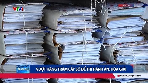 Vượt hàng trăm cây số để thi hành án, hòa giải | Cụm tin | VTV24