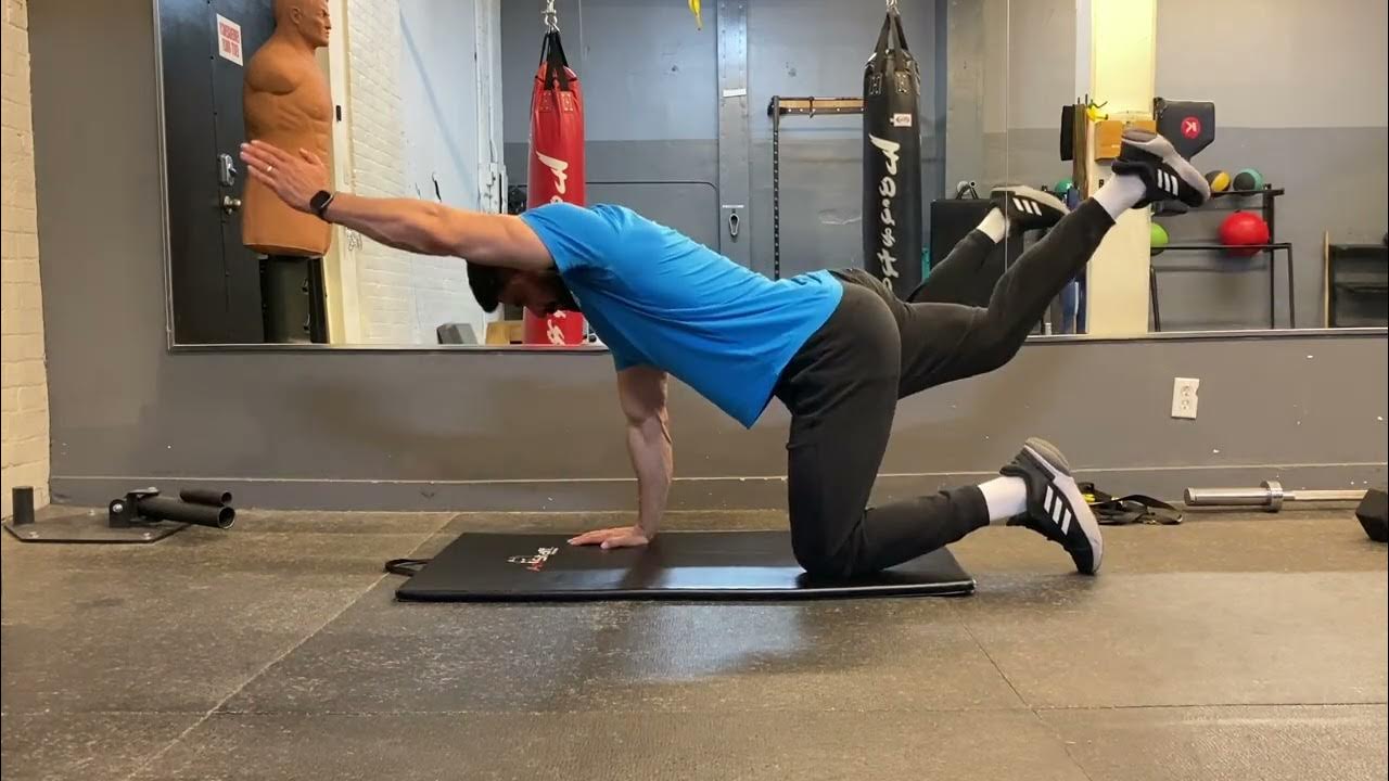 Quadruped Opposite Arm and Leg Extension YouTube