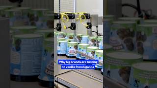 Why Ugandas #vanilla is winning over global food brands. #vanillabeans #Uganda #SoExpensive