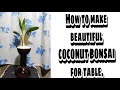 HOW TO MAKE COCONUT BONSAI FOR TABLE | COCONUT BONSAI | COCO BON | PHILIPPINES