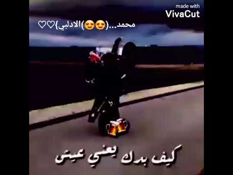 حالت لفلي حشيش سمعني غنان كيف بدك ياني عيش محببو اازاني طير وربيت على ريش