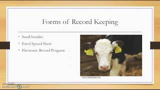 Details Maximizing Cull Cows News
