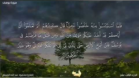 من سورة يوسف 78-82  بصوت الشيخ محمود المبيض