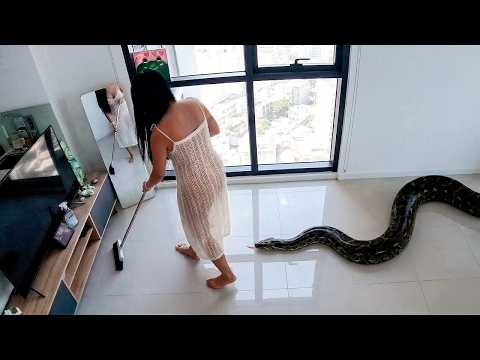 MYSTERY SOMETHING SCARY CAUGHT ON CAMERA! Horror Videos #3