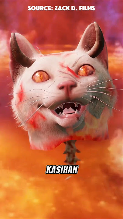 Akibat Fatal Saat Semua Kucing Dimusnahkan