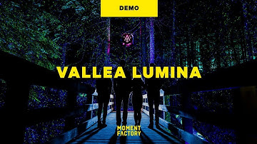 Vallea Lumina | an enchanted night walk in pursuit of hidden wonders