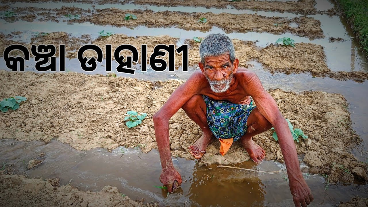 କଞ୍ଚା ଡାହାଣୀ l Gouranga Nayak Odia Vlogs l Kancha Dahani