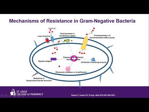 New Antibiotics for the Treatment of Drug Resistant Gram Negative Infections