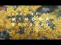 【ミモザブーケ】 3月8日はミモザの日! florist vlog ｜ ドライフラワー ｜ 花屋