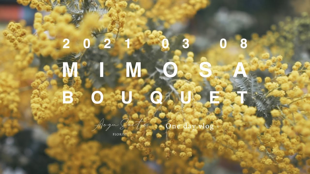 【ミモザブーケ】 3月8日はミモザの日! florist vlog ｜ ドライフラワー ｜ 花屋