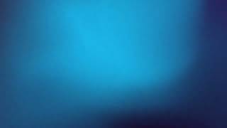Dark Blue Gradient Grainy Background
