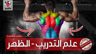 أسرار علم التدريب | الظهر (ما لا يخبرك به المدربون)