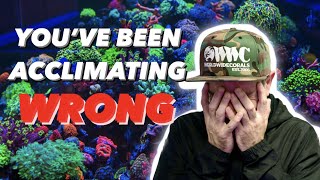 WATCH THIS BEFORE YOU ADD ANY CORALS TO YOUR AQUARIUM! screenshot 4