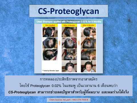 CS Proteoglycan PPT VDO ภาษาไทย