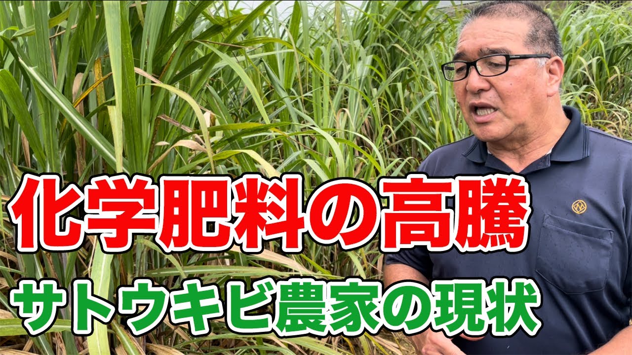 クリビオをご使用頂いた徳之島のサトウキビ農家さんへインタビュー